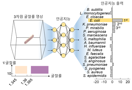 아이디어 모식도.(사진=KAIST)