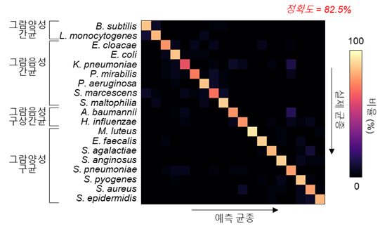 19가지 혈액감염균 식별의 단일 영상 기반 맹검 결과.(사진=KAIST)