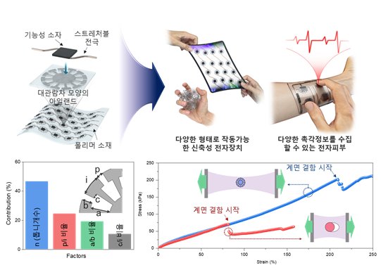 고신축성 고안정성 신축성 전자장치를 위한 대관람차 모양의 아일랜드 설계, 특성 평가.(사진=KAIST)