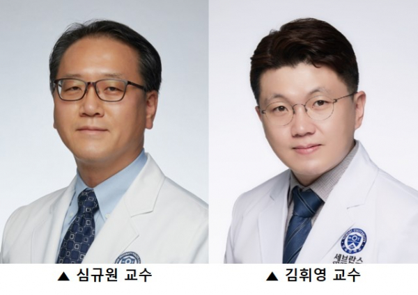 (사진=연세대학교 의과대학)