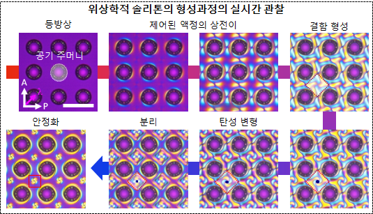 액정을 이용한 위상학적 솔리톤 형성의 실시간 관찰.(사진=KAIST)