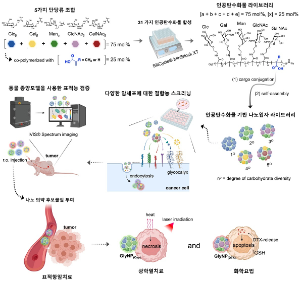 항암치료용 '인공탄수화물 기반 나노 의약 플랫폼' 개발 모식도.(사진=KAIST)