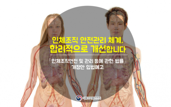 식품의약품안전처는 지난 2016년 '인체조직안전 및 관리 등에 관한 법률'을 입법예고한 바 있다.(사진=식품의약품안전처)