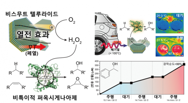 열전효과에 의한 비스무트 텔루라이드의 과산화수소 생성과 차량 주행 중 발생하는 배기열을 활용한 화학물질 합성 모식도 .(사진=KAIST)
