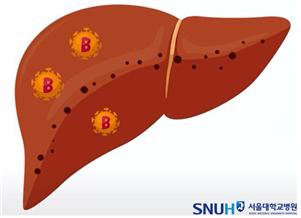 B형간염 바이러스.(사진=서울대병원)