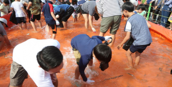 충남 서천군 홍원항 자연산 전어·꽃게축제 모습 (사진=서천군)