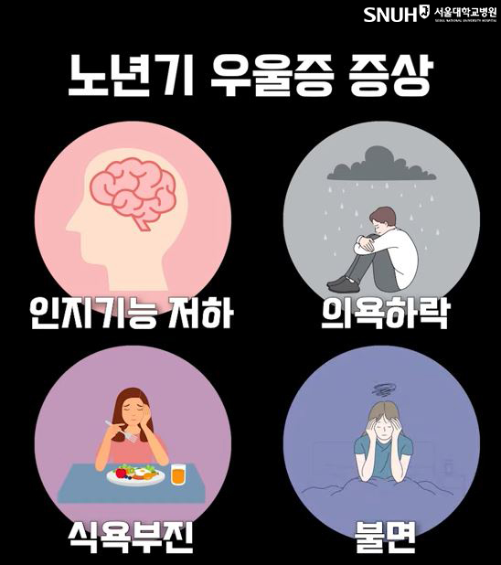 노년기 우울증 대표 증상.(그림=서울대병원)