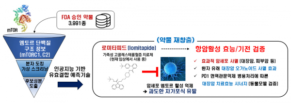 약물 가상 스크리닝 기술을 이용한 로미타피드 항암 효능 개발.(사진=KAIST)
