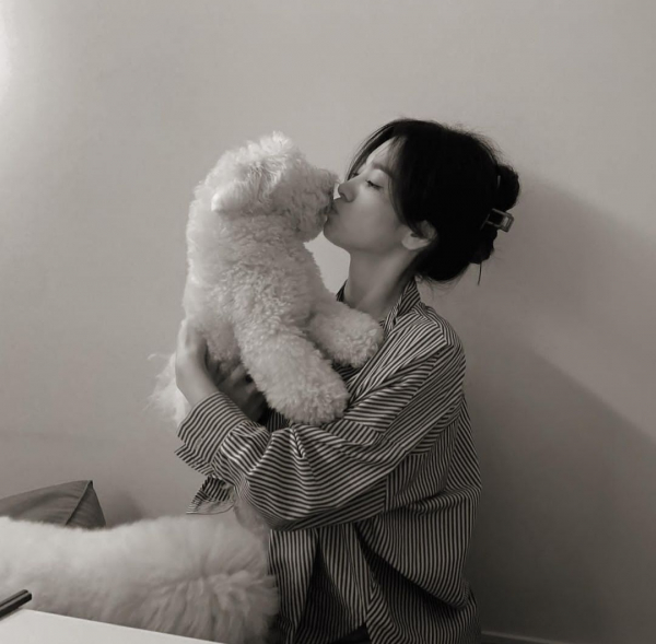 반려동물을 키우는 가구가 늘어남에 따라 업계도 호황을 누리고 있다. 사진은 배우 송혜교 인스타그램 사진. 