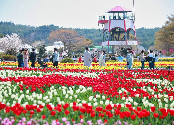 태안 가을꽃박람회 (사진=코리아플라워파크)