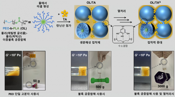 연구팀이 개발한 생체친화적 접착제의 원리.(사진=KAIST)
