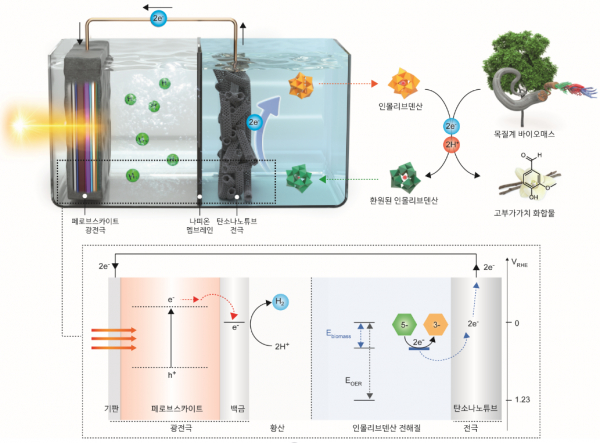 목질계 바이오매스에서 전자를 추출하는 시스템과 태양광 수소 생산 시스템.(사진=UNIST)