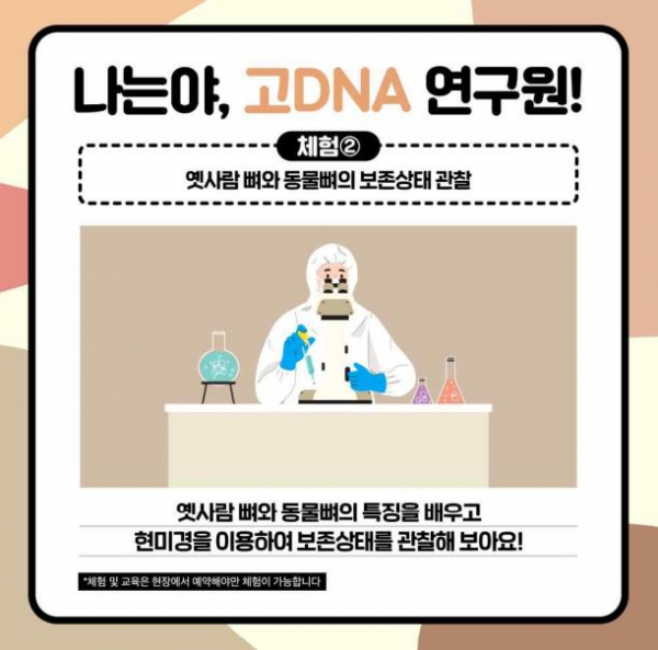 '고DNA 분석 체험형 연구실' 홍보 이미지. (사진=문화재청)