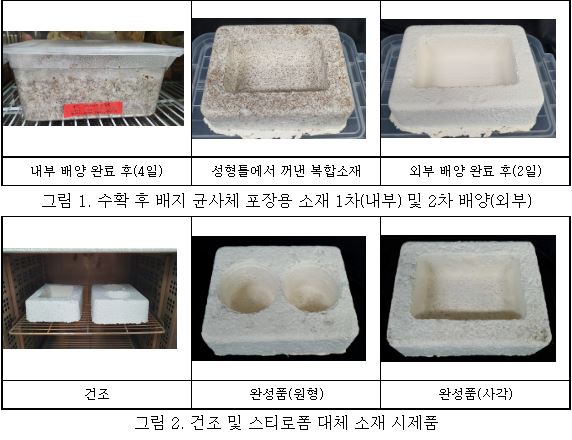 버섯 수확후 배지 활용 친환경 포장용 소재 제조과정. (사진=농촌진흥청)