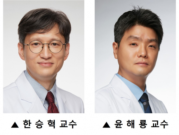 (사진=연세대학교 의과대학)