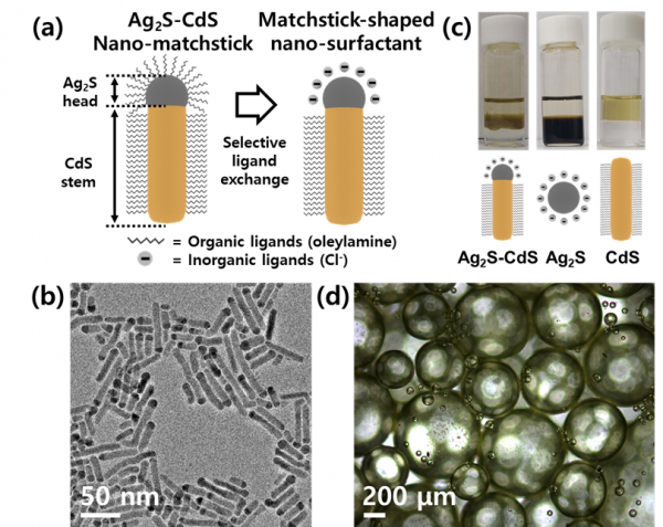 황화은-황화카드뮴 나노 계면활성제 합성 공정과 모습.(사진=UNIST)