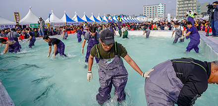 방어맨손잡기체험. (사진=최남단 방어축제 누리집)