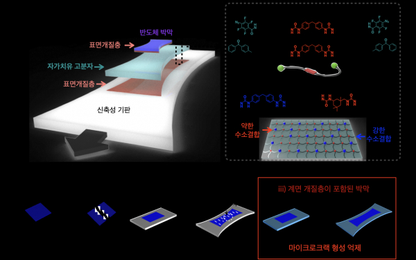 고분자 박막과 스트레처블 기판 사이에 계면 개질층 도입 방법 및 이를 통한 박막의 파괴 기계적 거동 변화.(사진=KAIST)