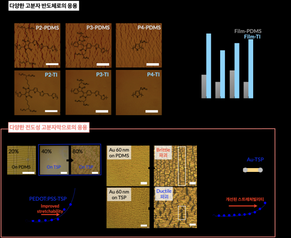 다양한 고분자 및 금속 박막으로의 계면 개질층 적용 가능성.(사진=KAIST)