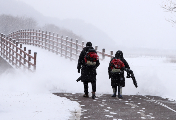 15일 강원 양구군 파로호 인근 산책로에서 공원 관계자들이 눈을 치우는 모습. (사진=연합뉴스)