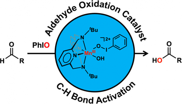'망간-요오드실벤젠 종'의 알데히드 산화 반응.(사진=UNIST)
