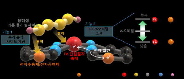 철 원자 주변 전자공여체와 전자수용체 도입을 통한 전자교환현상 유도 전략 모식도.(사진=KAIST)