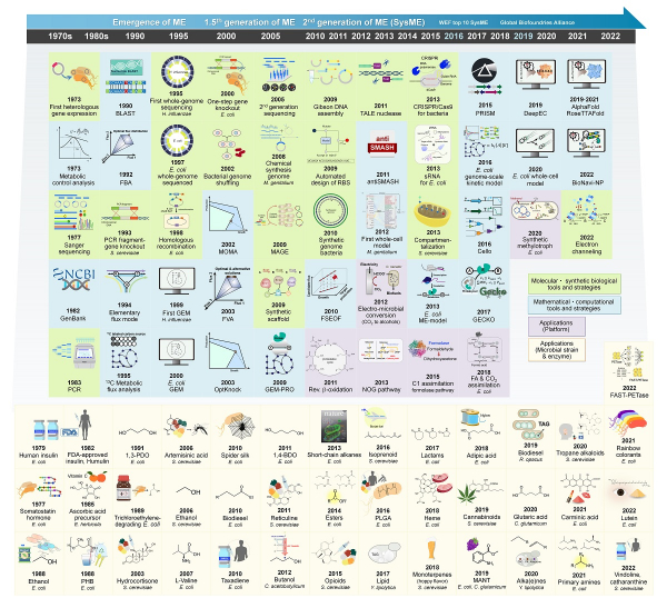 대사공학의 주요 발전에 대한 타임라인.(그림=카이스트)