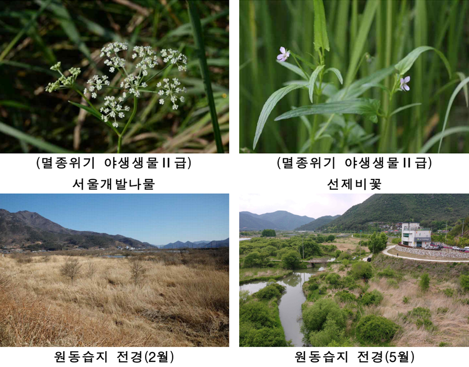 (사진=국립생태원)