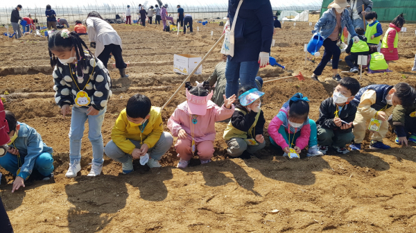 도시농업체험장 생태텃밭 체험 모습. (사진=금천구)