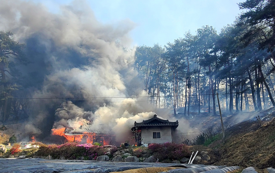 강릉 산불 화재 현장(사진=연합뉴스)