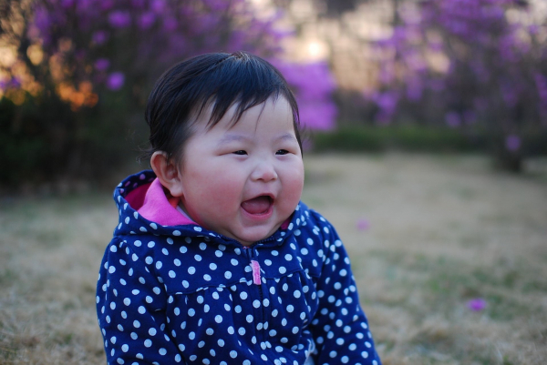 기사와는 관련 없음(이미지=픽사베이)