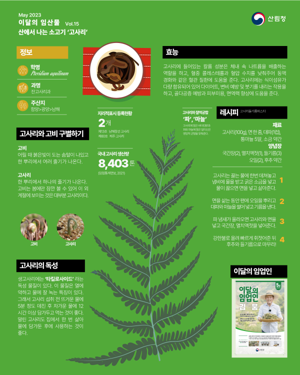 산림청이 5월의 임산물로 '고사리'를 최근 선정했다.(사진=산림청)