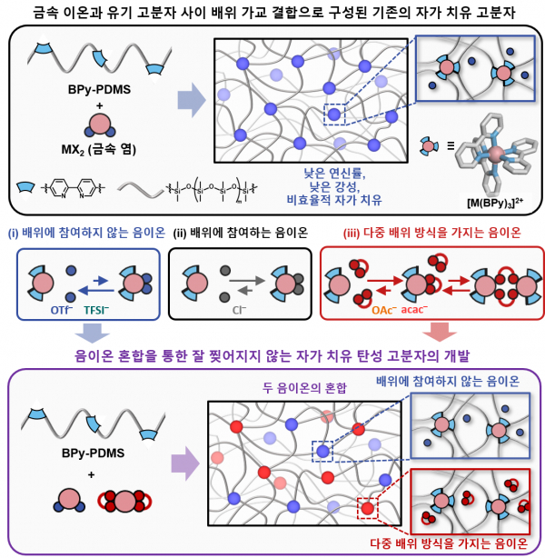 음이온 혼합을 통한 잘 찢어지지 않으면서 효율적 자가 치유가 가능한 탄성 고분자 소재.(사진=KAIST)