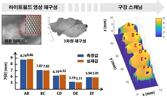 라이트필드 카메라 기반 구강 스캐너를 이용한 구강 모형의 3차원 영상 획득 결과.(사진=KAIST)