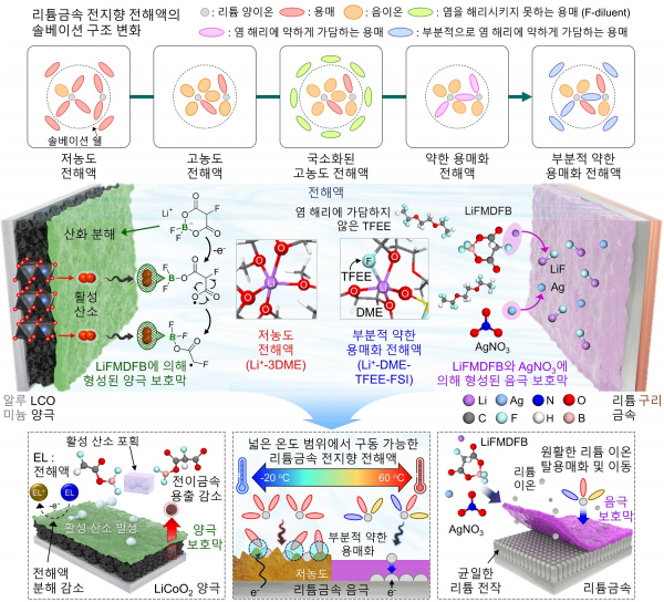 전해액의 솔베이션 구조의 변화와 개발 전해액 조성의 작동 메커니즘.(사진=KAIST)