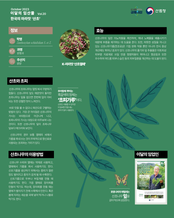 산림청은 최근 "산초나무의 줄기와 잎 추출물이 아토피성 피부염 치료제로 쓰일 만큼 항염작용이 뛰어나고 향균효과가 우수해 여드름 피부나 습진 등 피부질환을 개선하는 데 도움이 된다"며 10월의 임산물 선정 이유를 밝혔다.(사진=산림청)
