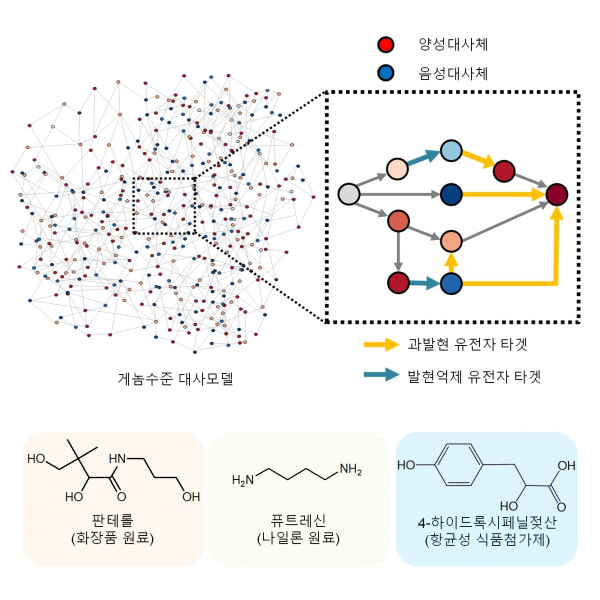 신규 개발된 아이브릿지를 활용한 유용한 화합물 생산.(사진=KAIST)