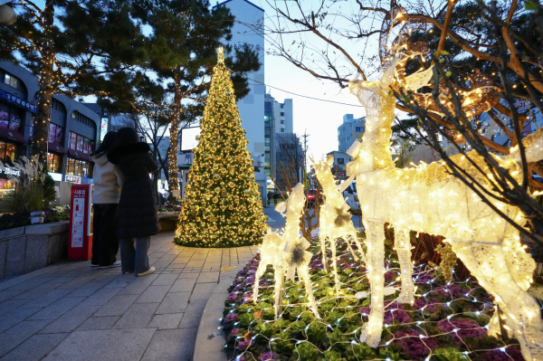 서울 강북구청사 광장에 설치된 크리스마스 트리와 사슴 빛 조형물. (사진=강북구)