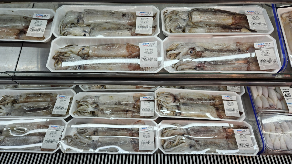 마트에서 판매 중인 생물 오징어(사진=박용환 기자)