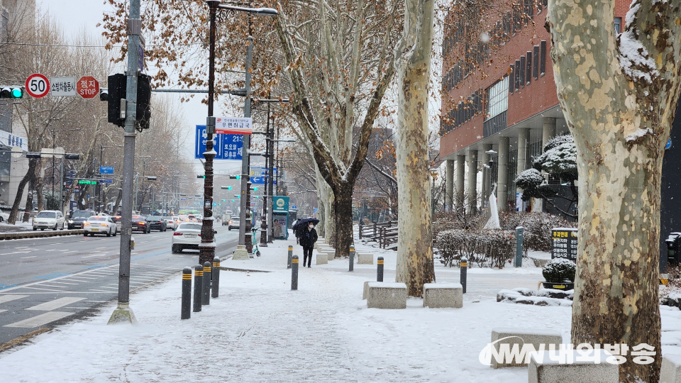 눈 내린 서울 거리(사진=정지원 기자)