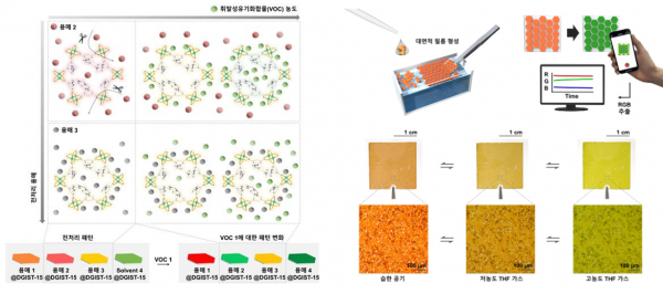 다공성 금속유기구조체 기반 색 센서 어레이를 이용한 휘발성유기화합물 검출과 다공성 색 변화 센서 필름과 휴대폰 카메라를 이용한 농도 분석.(사진=DGIST)