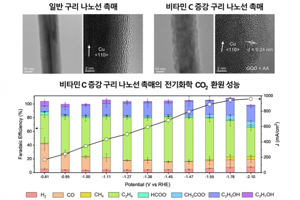 비타민 C 증강 구리 나노선 촉매의 나노 구조 형상과 전기화학 이산화탄소 환원 성능.(사진=DGIST)