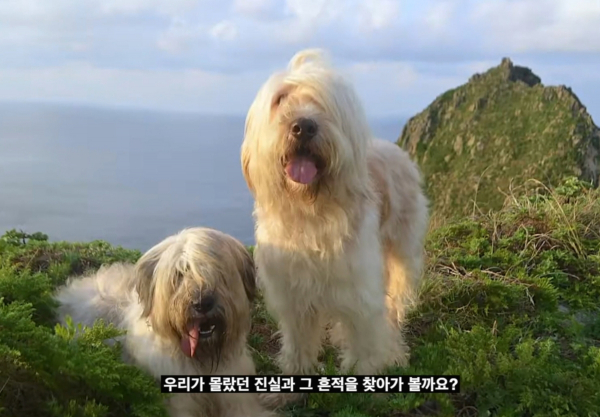 서경덕 교수가 제작한 삽살개 영상. (사진=서경덕 교수 SNS)