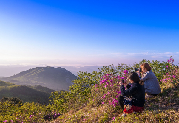 칼럼과는 관련 없음(사진=픽사베이)