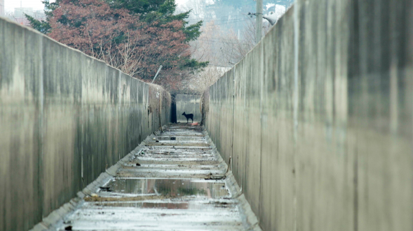 (사진=시네마 달)