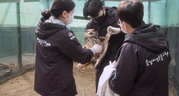(사진=시네마 달)