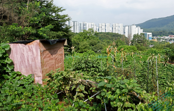 서초구 내곡동 개발제한구역 일대 모습 (사진=연합뉴스)