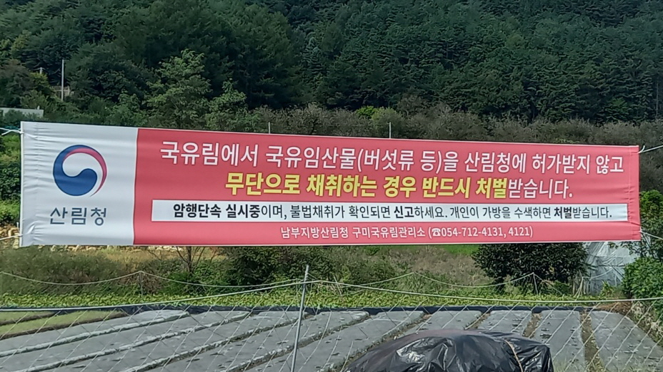 임산물 불법 채취 경고 문구(사진=산림청)