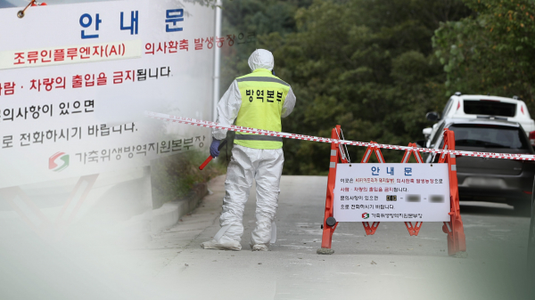 조류인플루엔자 확인에 따른 출입통제(CG=연합뉴스)