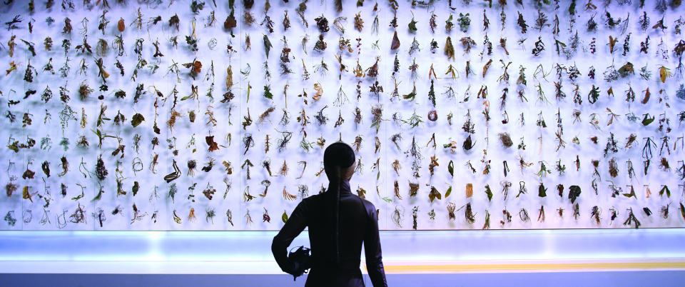 문경원&전준호, 뉴스프럼노웨어, 2011-2012, 2채널 비디오, 오브젝트, 도큐멘트, 가변크기, 국립현대미술관 소장. (사진=국립현대미술관)